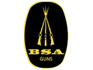 BSA