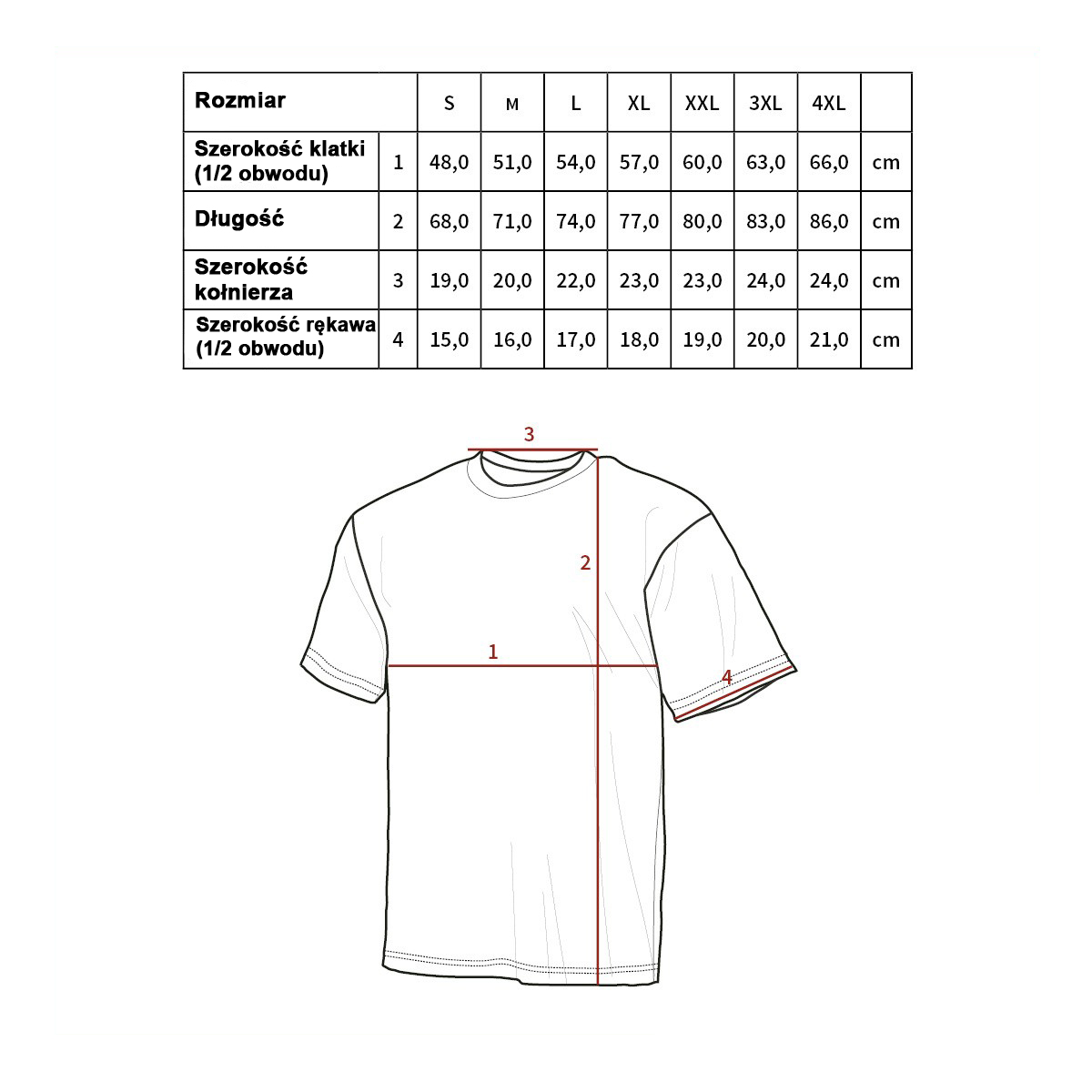 tabela tshirt mfh.jpg (180 KB)