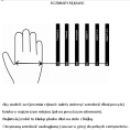 Rękawiczki Pro Magnum Solag Half Finger