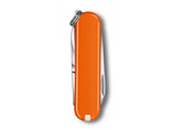 Scyzoryk Victorinox Classic SD Mango Tango