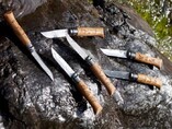 Nóż składany Opinel Animalia Wild Boar No. 08 blister