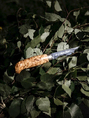 Nóż Marttiini Lynx Knife 121 121010