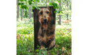 Ręcznik Zwoltex 50x100 cm Jamnik