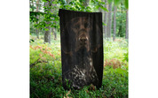 Ręcznik Zwoltex 50x100 cm Wyżeł