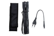 Paralizator z latarką Guard Tornado 800 000V