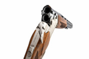 Bok Reximex RS912 Sport Silver Ejector kal. 12/76 łoże orzech lufa 30