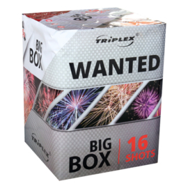 Wyrzutnia Wanted 16 strzałów TXB067