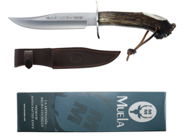 Nóż Muela Crown Stag Satin CAZ-16