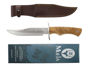 Nóż Muela Olive Wood Satin CAZ-16.OL