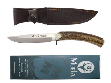 Nóż Muela Gredos Deer Stag Satin GRED-12A